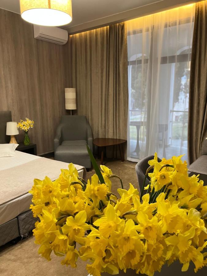 Abaash Hotel Afon New Athos Buitenkant foto